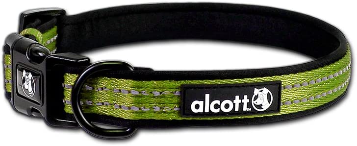 Alcott Adventure Collar, Green, Small