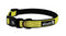 Alcott Visibility Collar, Neon Yellow, Small