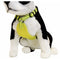 Alcott Visibility Harness, Neon Yellow, Large